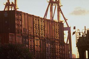 画像解析で面積、平面度が見える