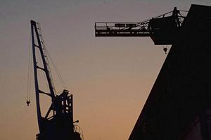 繊細な温度管理を可能にするデジタル温度調節器